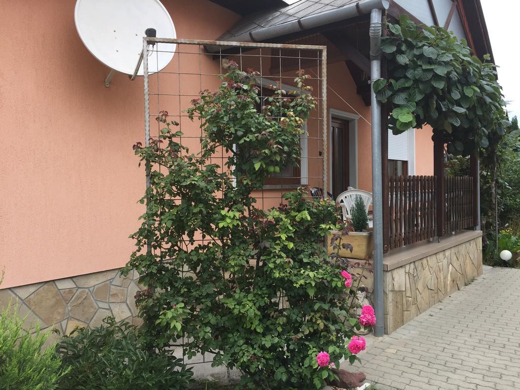 巴拉通雷勒 Valentin Vendeghaz酒店 外观 照片